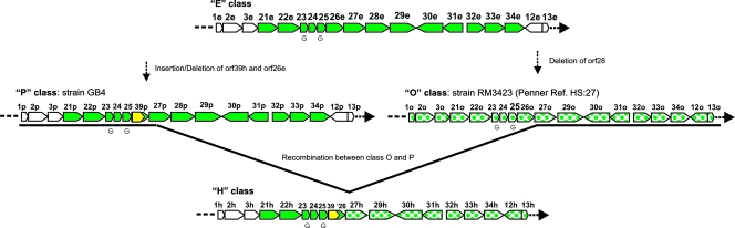 FIG. 4.