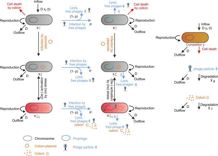 FIG 3