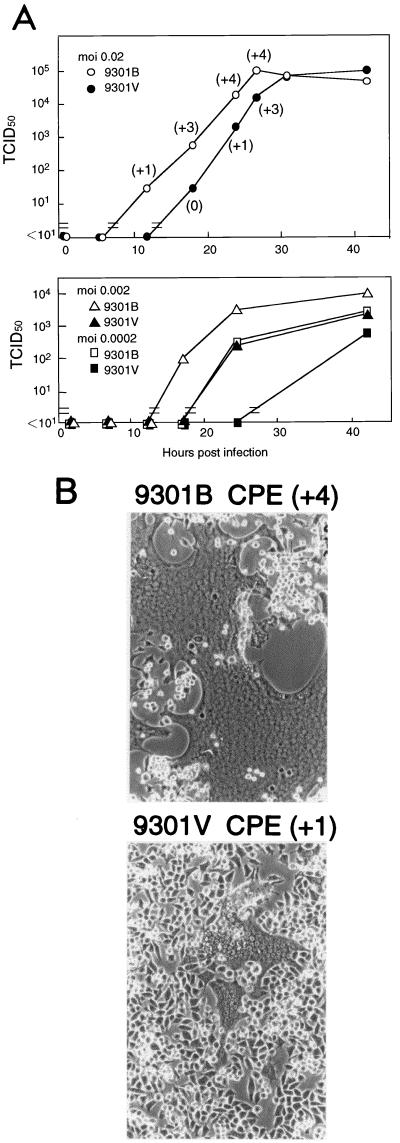 FIG. 1