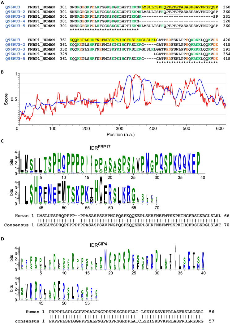 Figure 3