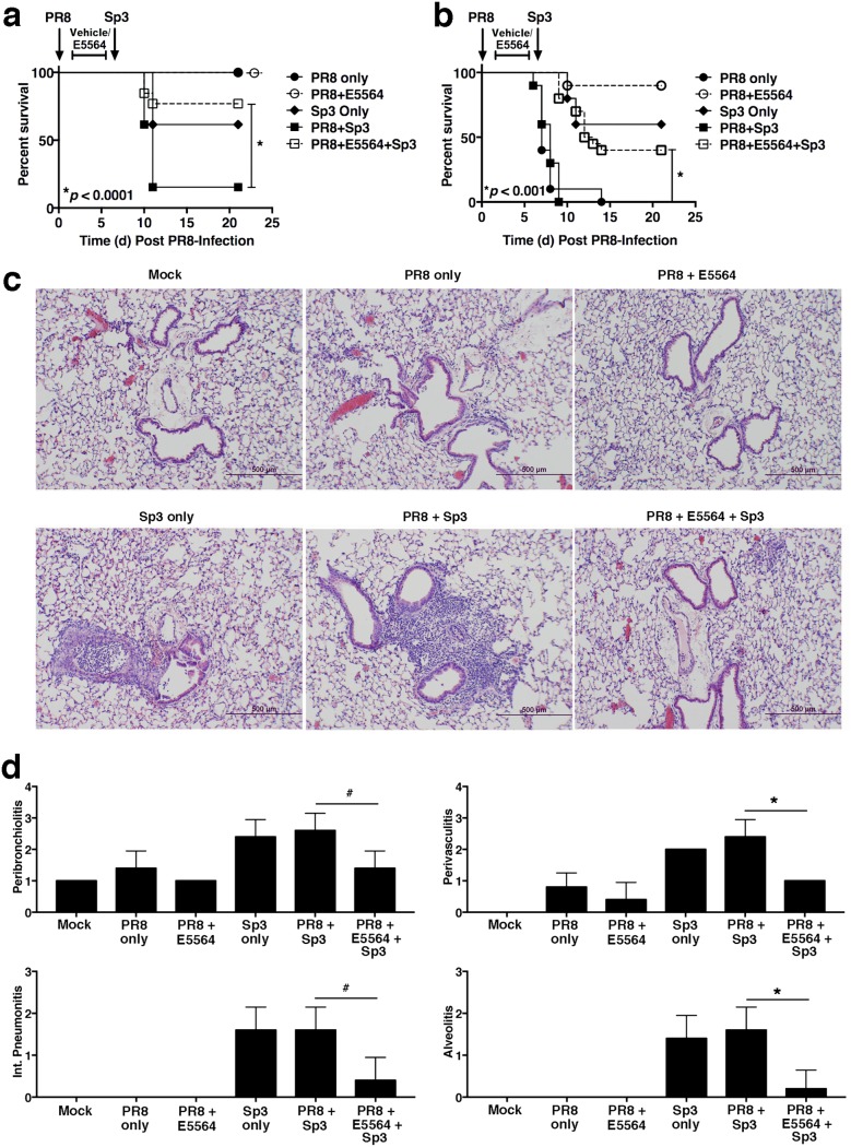 FIG 2