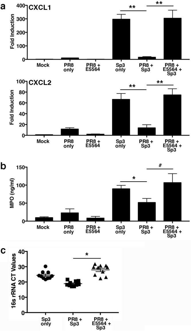 FIG 3