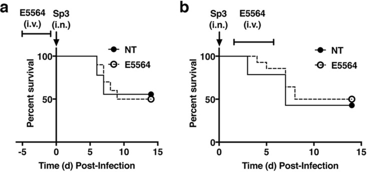 FIG 1