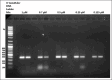 Figure-4