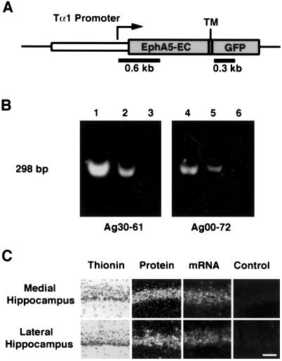 Fig 4.