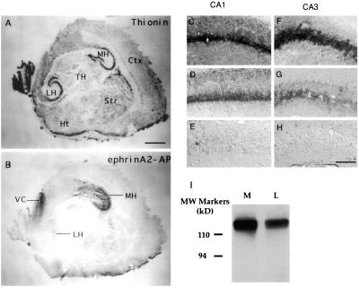 Fig 2.