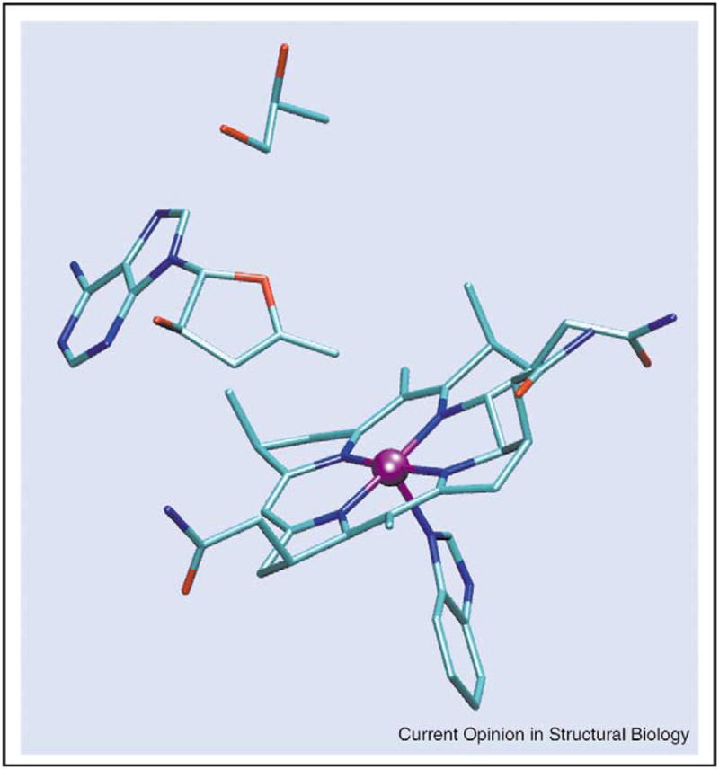 Figure 7