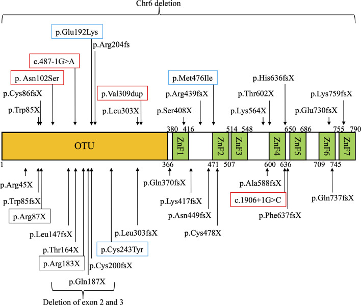 Figure 1