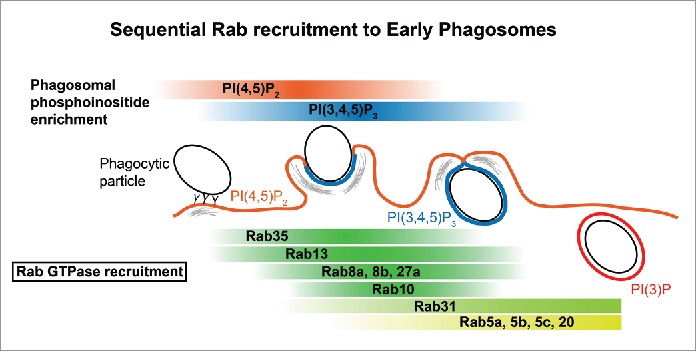 Figure 9.