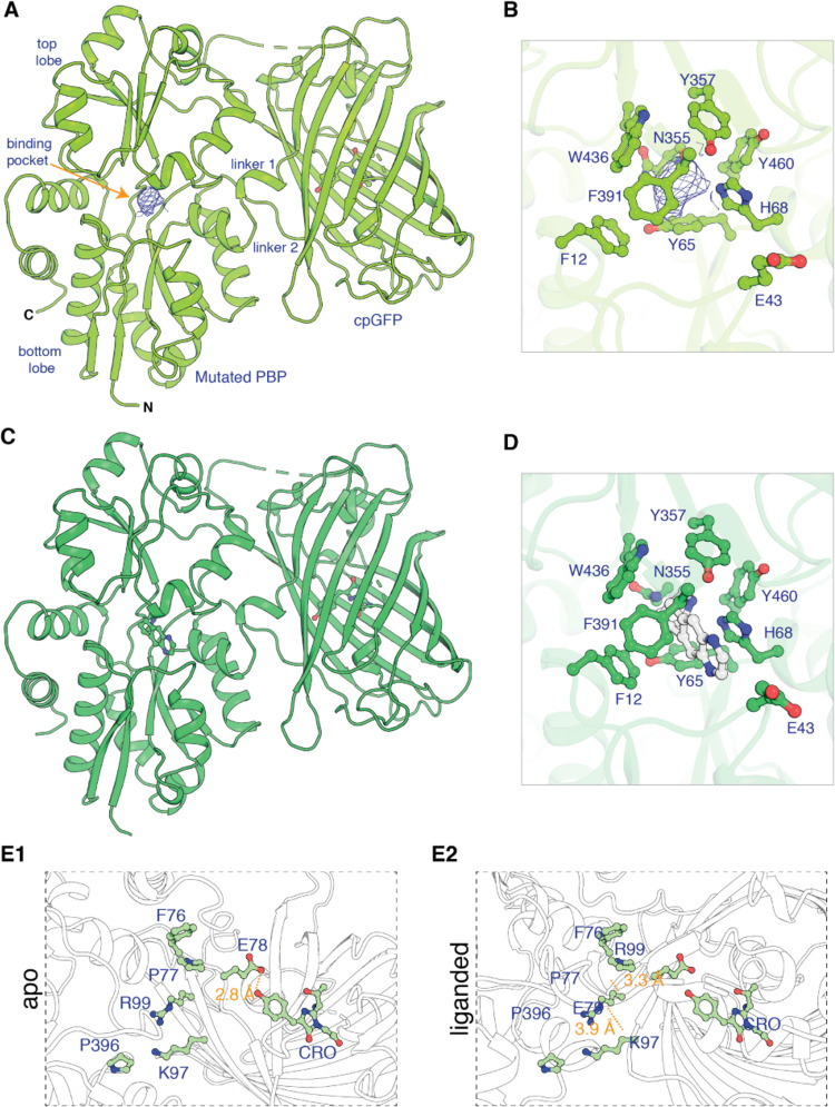 graphic file with name elife-85479-fig2.jpg