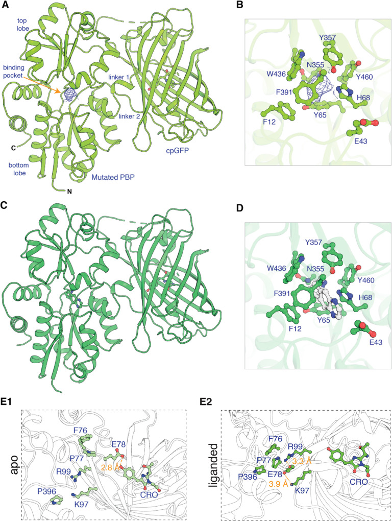 graphic file with name elife-85479-fig1.jpg