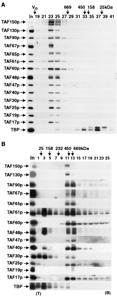 FIG. 7.