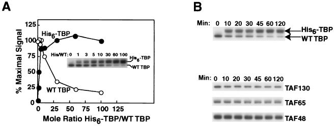 FIG. 8.