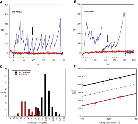 Figure 5