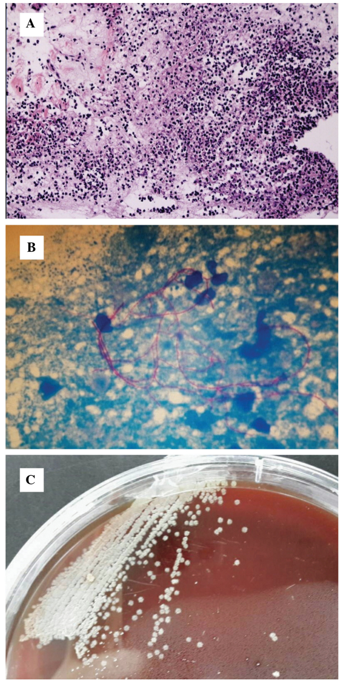 Figure 3.