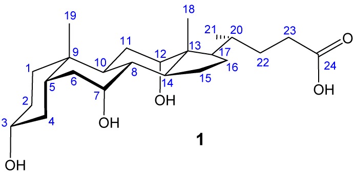 Figure 1