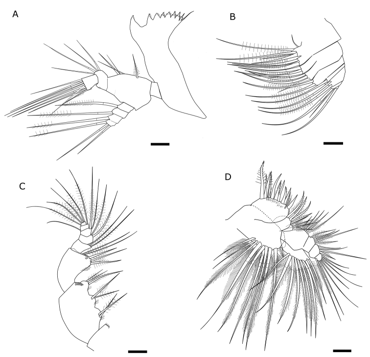 Figure 2.