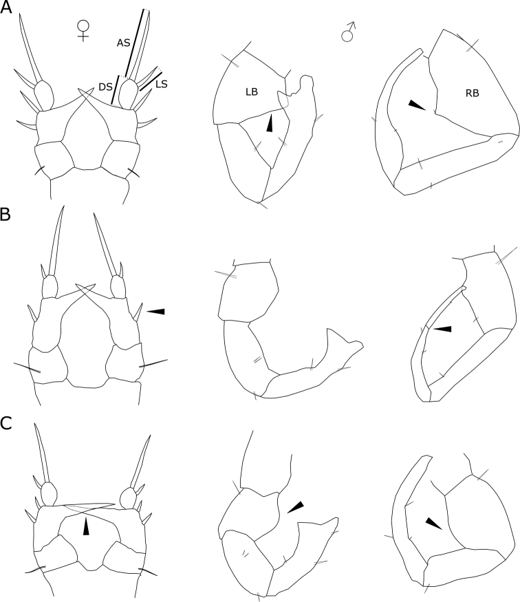 Figure 5.