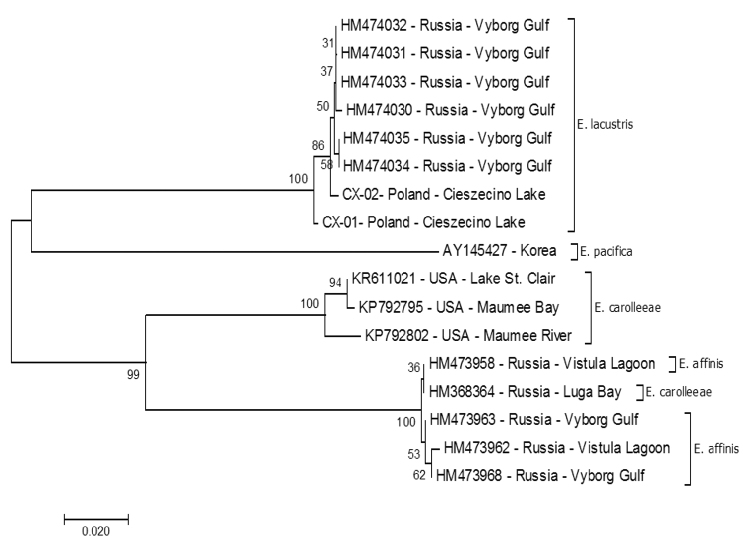 Figure 6.