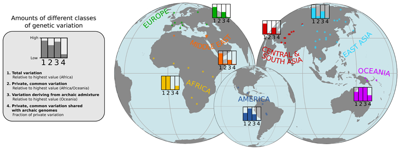 The structure of genetic variation across worldwide human populations.