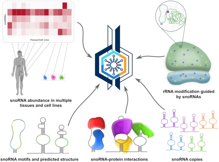 Graphical Abstract