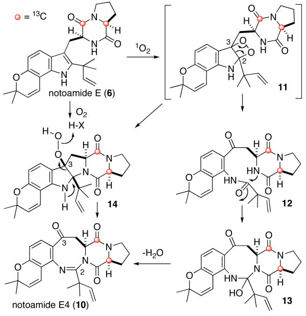 Scheme 1