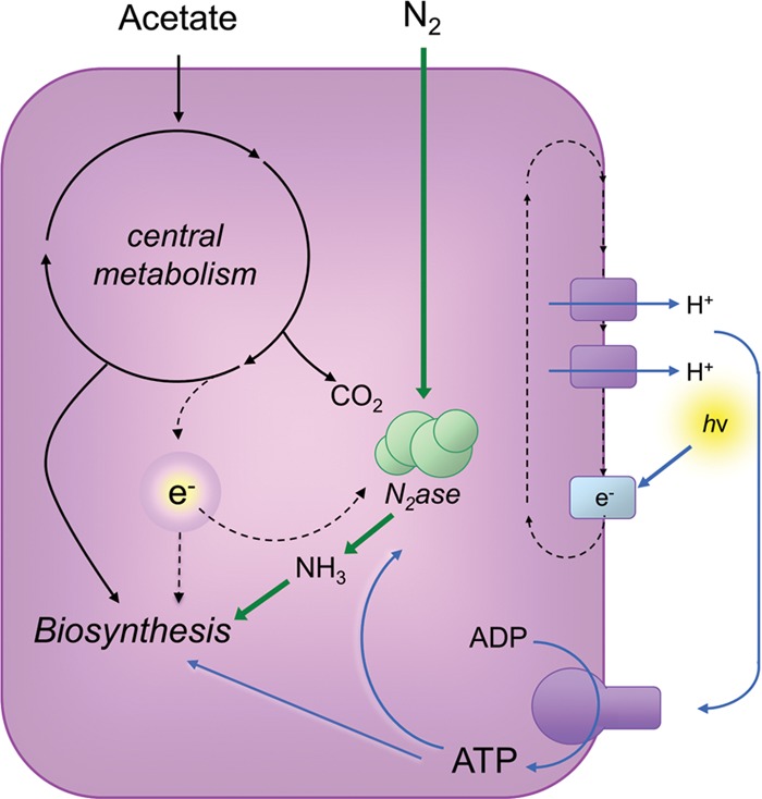 FIG 1 