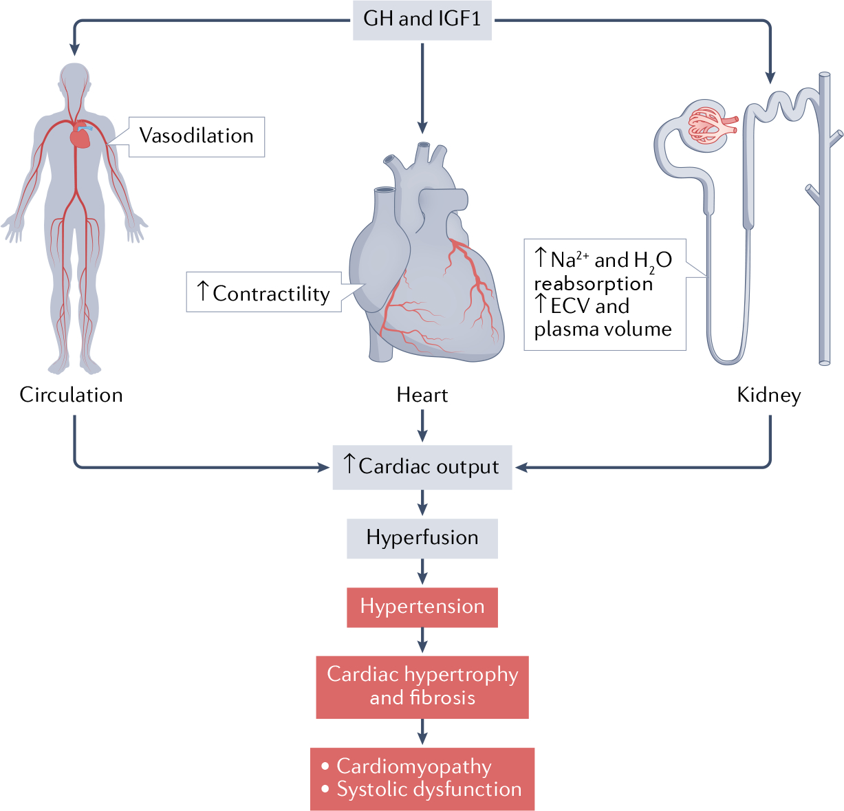 Fig. 2 |