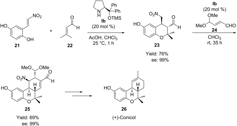 Scheme 13