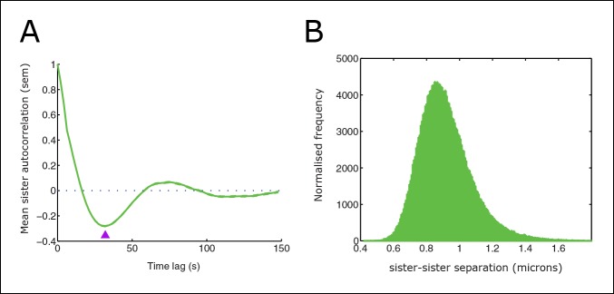 Figure 2—figure supplement 1.