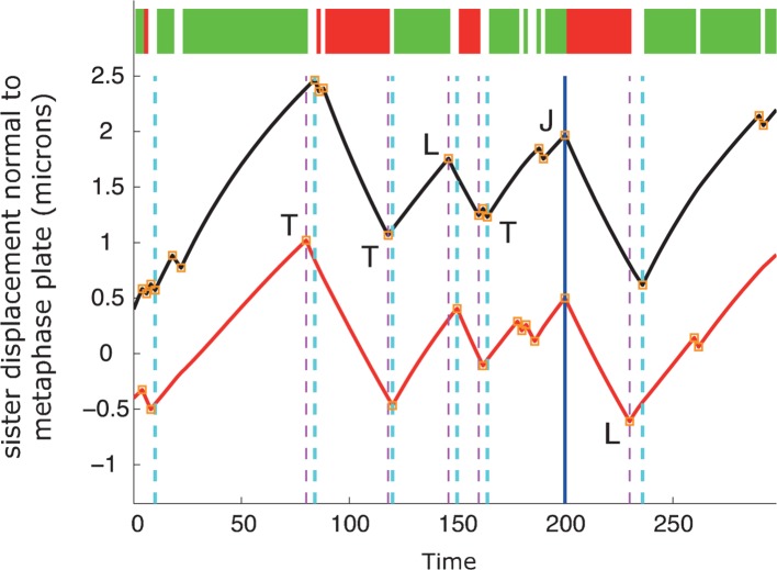 Figure 3—figure supplement 1.