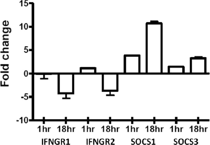 Fig 4