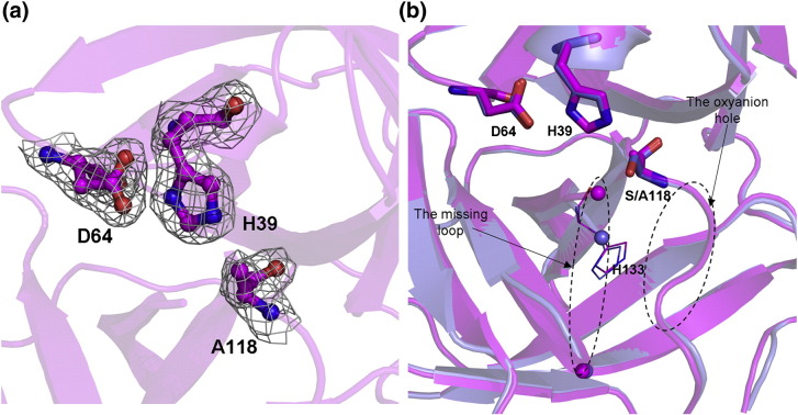 Fig. 8