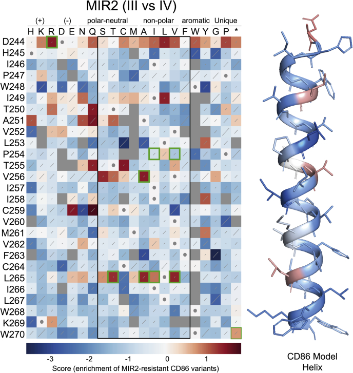 Figure 5