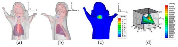 Fig. 19