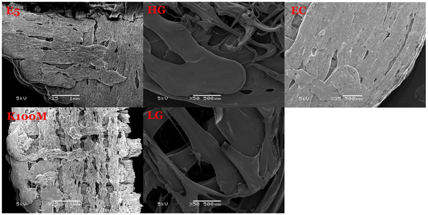 Figure 13.