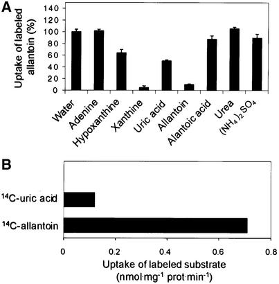 Figure 6.