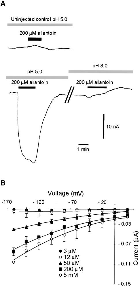 Figure 7.