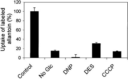 Figure 5.