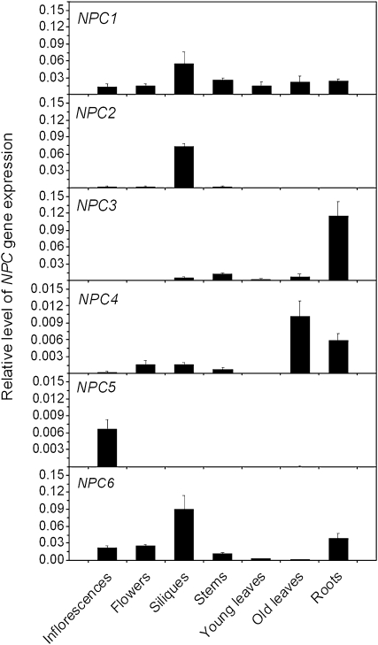 Figure 3.