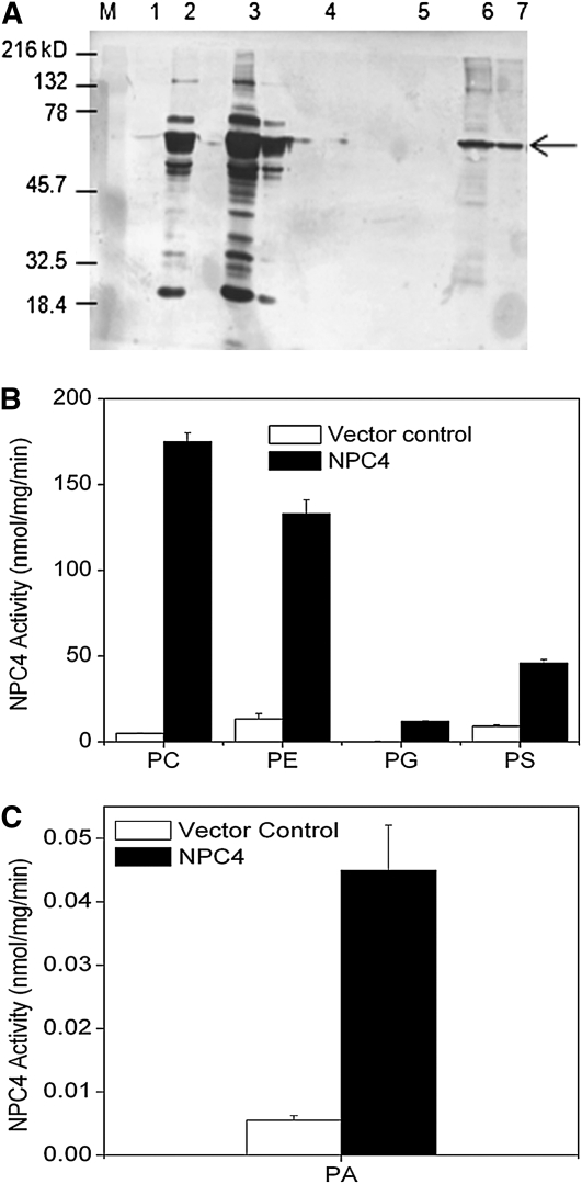 Figure 6.