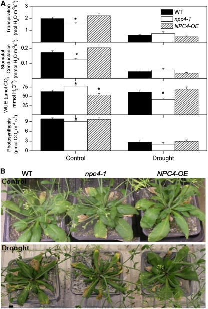 Figure 10.