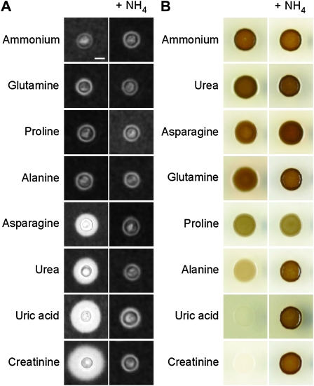 Figure 2.—