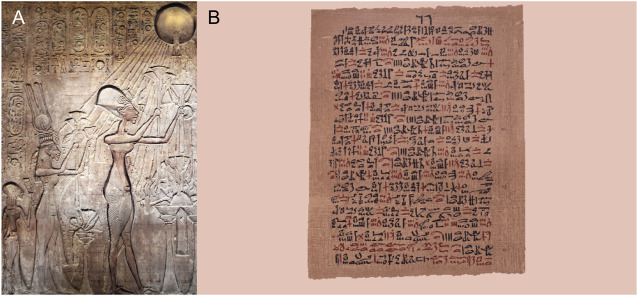 FIGURE 1