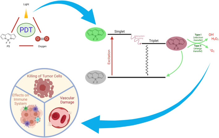 FIGURE 4