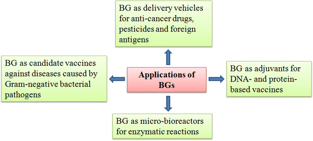 Figure 5