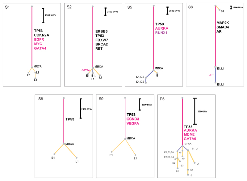 Extended Data Fig. 3