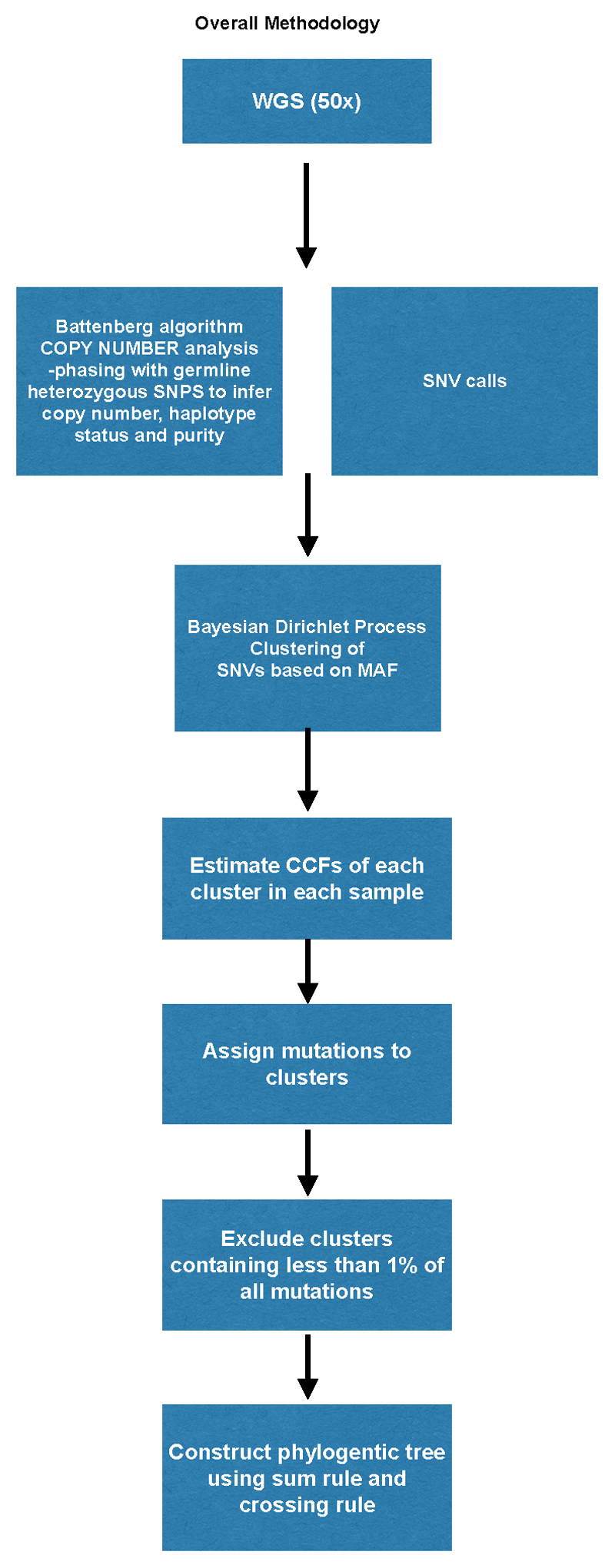 Extended Data Fig. 1