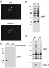 FIG.3.