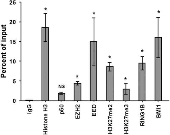 FIG 1